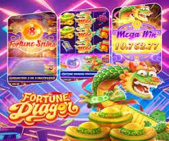 shan gaming ဘင်ဂို Online Bingo Myanmar MMK ဖြင့်ကစားနည်း